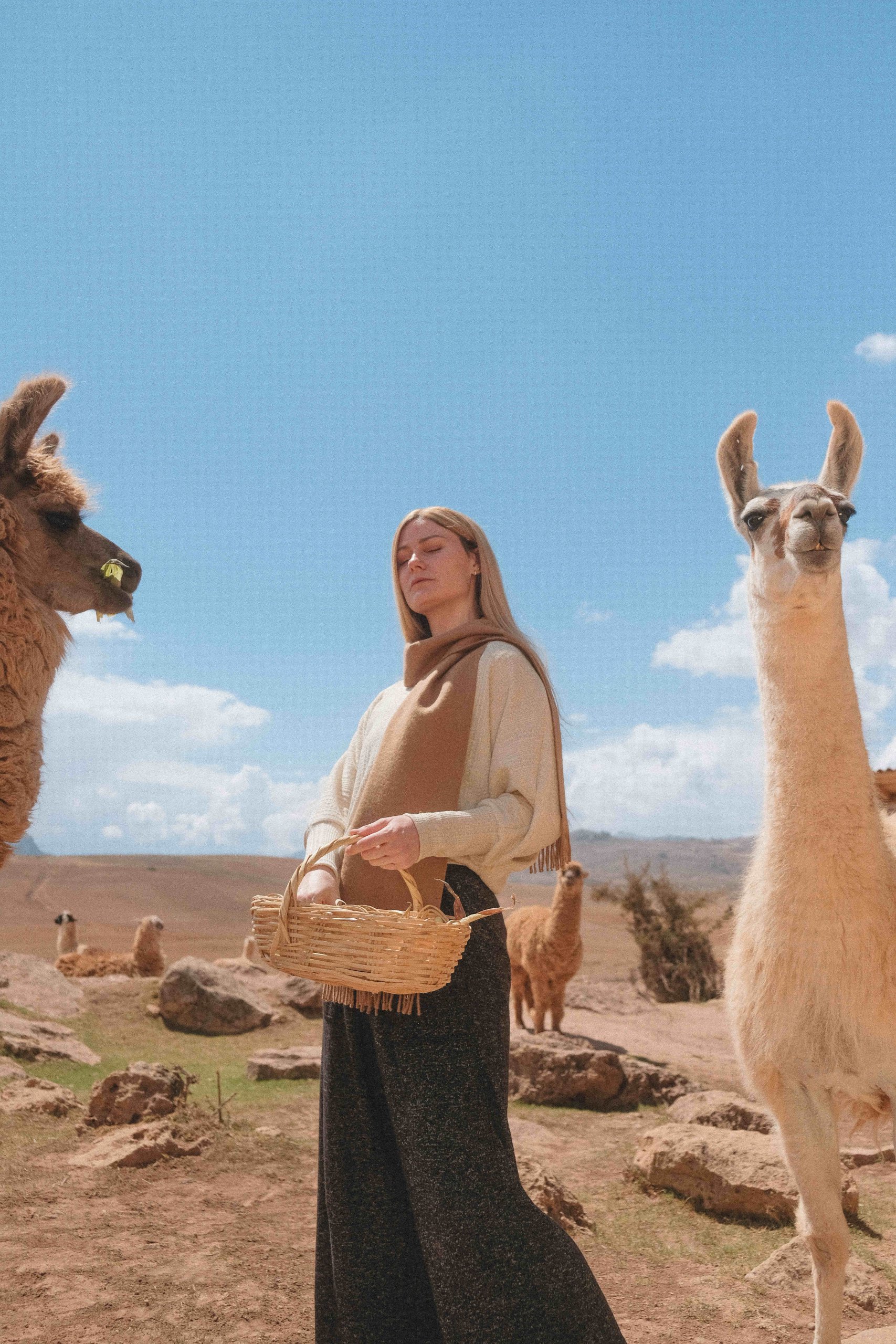 Panpa - Undyed Alpaca Camel Scarf - Image 5