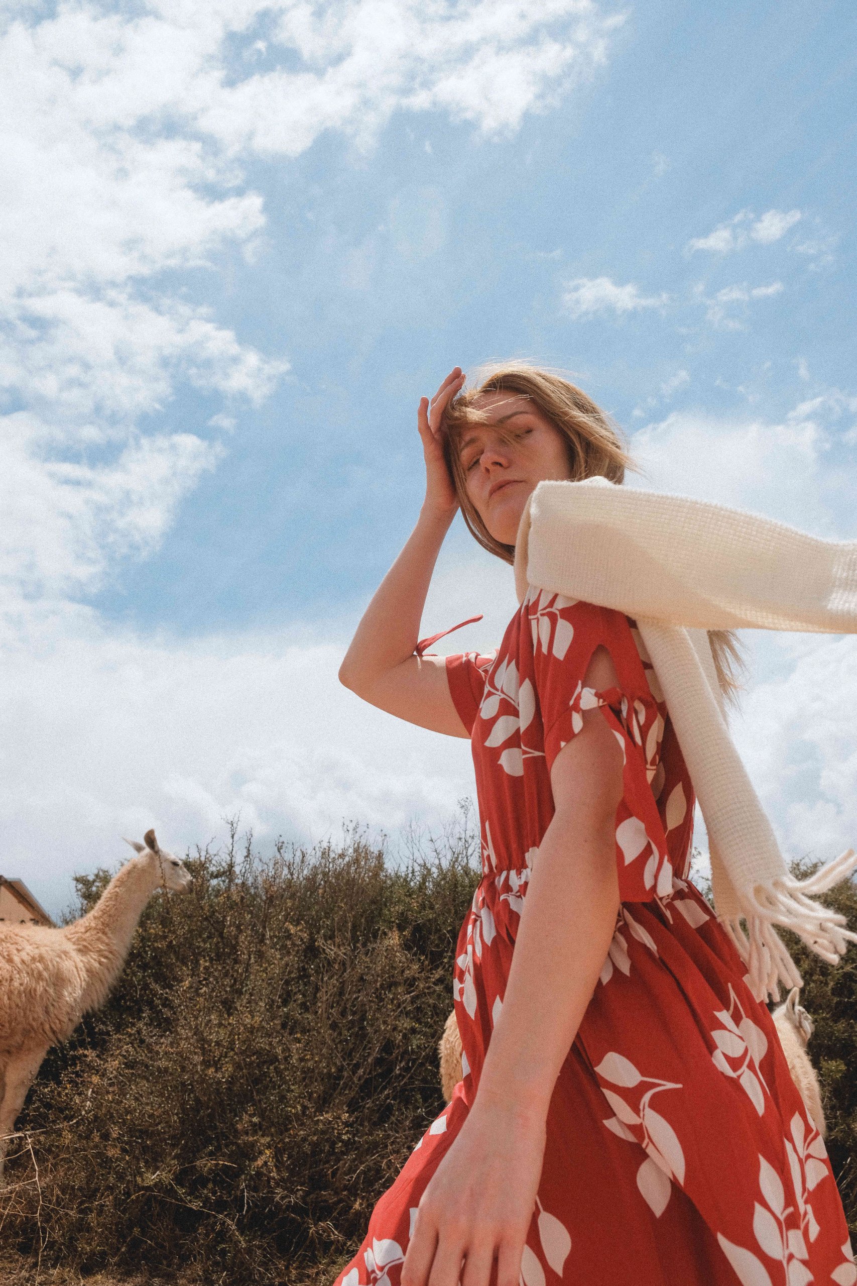 Kusi - Bufanda de alpaca blanca natural: imagen 3