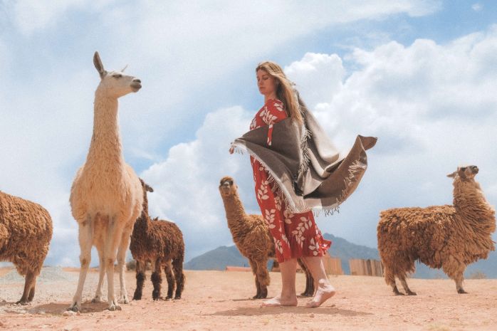 Baby alpaca wool vs alpaca: A clear guide to softness, grades, and luxury